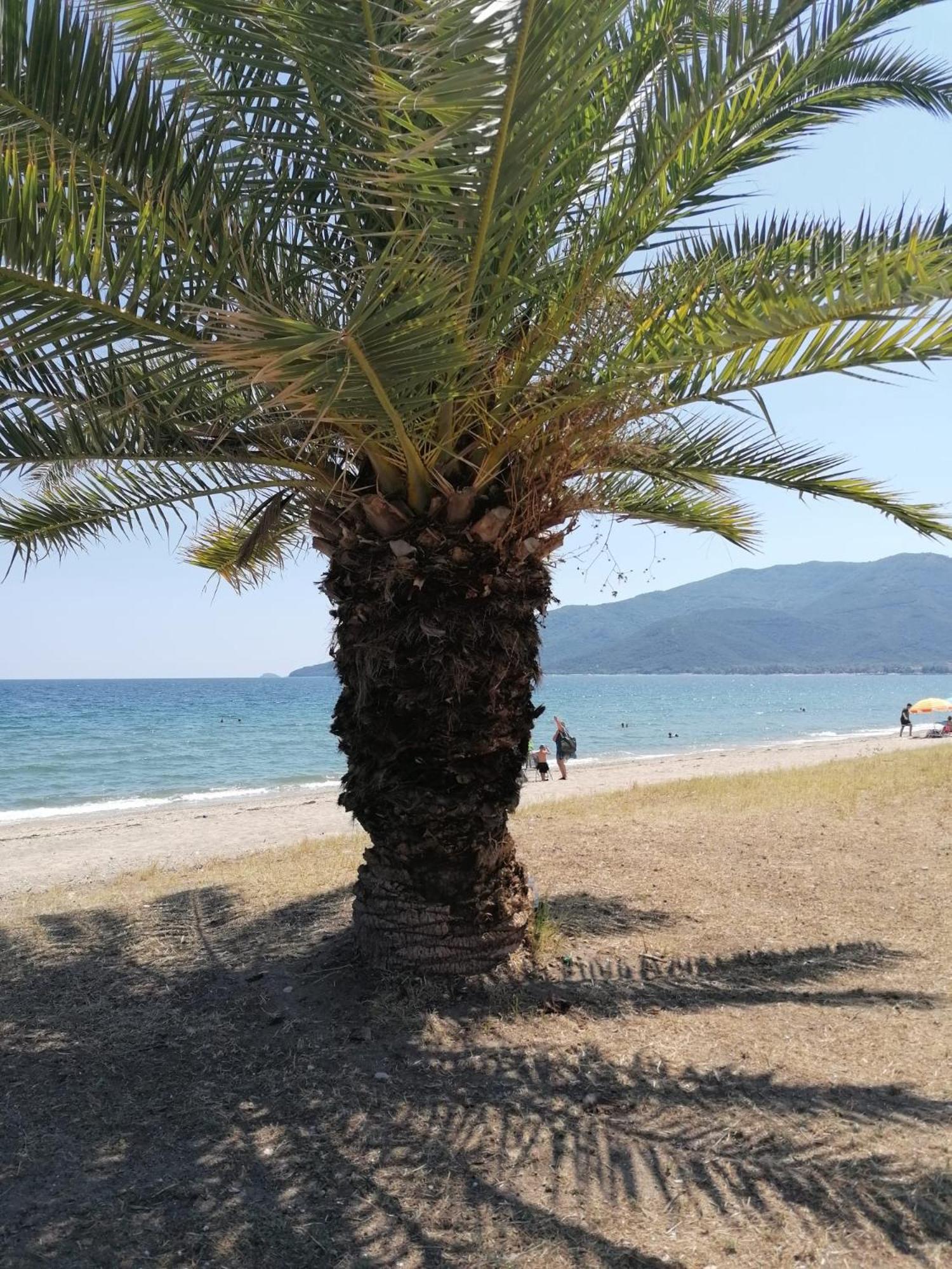 Prime Luxury Villa Beach Front Nea Vrasna Exterior photo